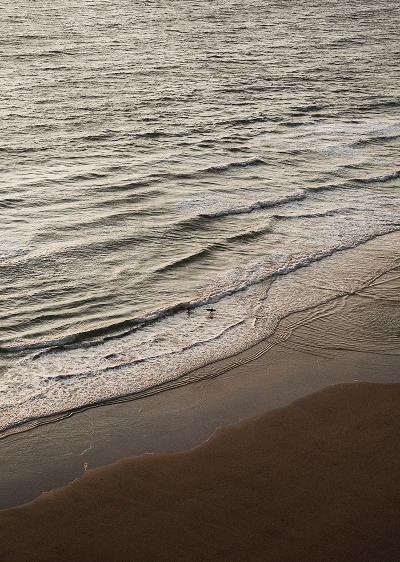 The sea