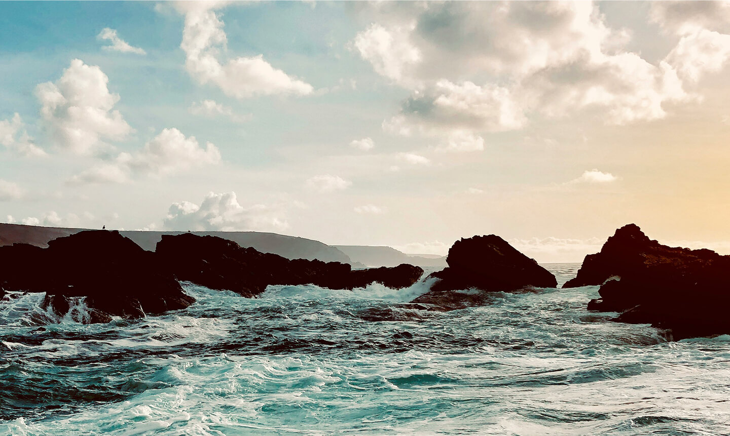 Wild Cornish Seas